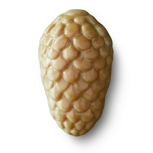 Dennenappel Pistache